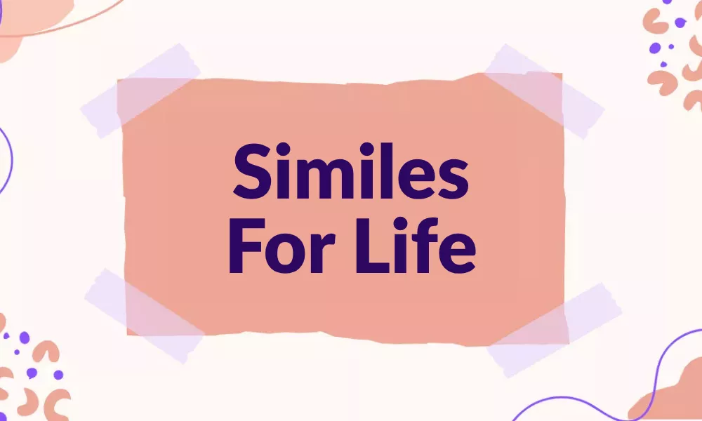 Life Similes
