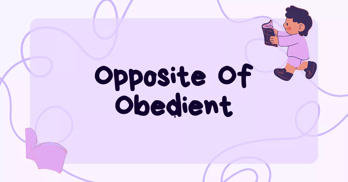 Obedient Opposite